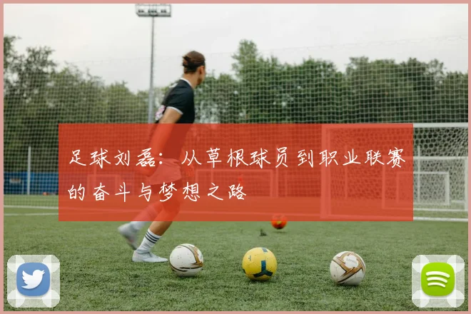 足球刘磊：从草根球员到职业联赛的奋斗与梦想之路