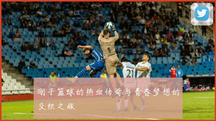 刚子篮球的热血传奇与青春梦想的交织之旅