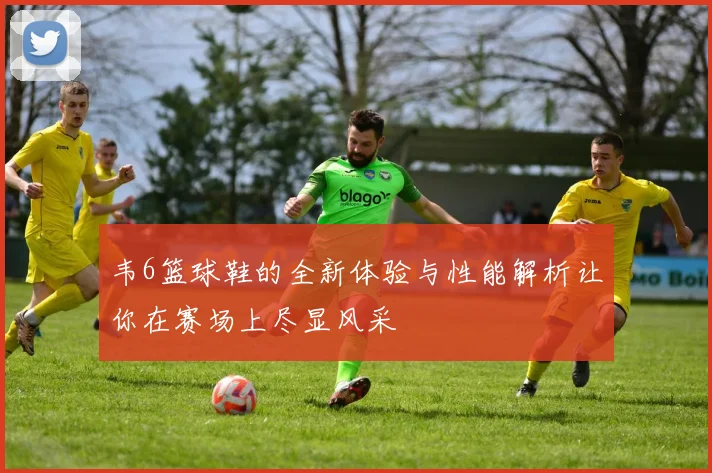 韦6篮球鞋的全新体验与性能解析让你在赛场上尽显风采