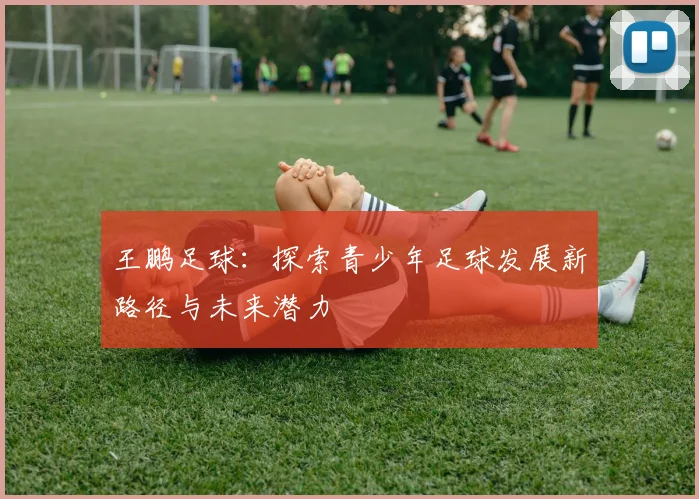 王鹏足球：探索青少年足球发展新路径与未来潜力