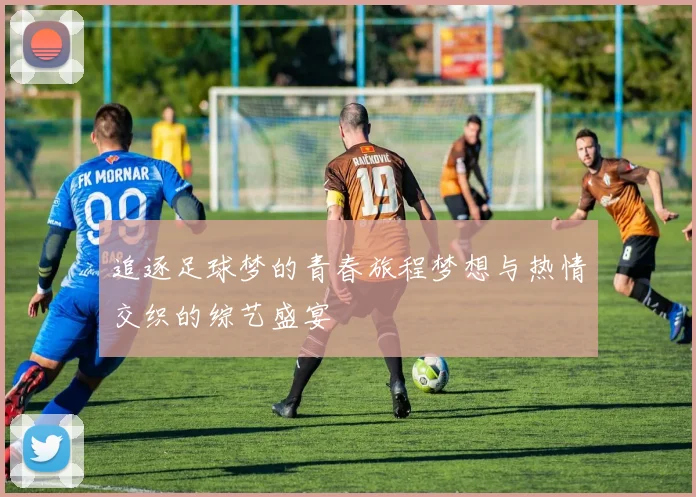 追逐足球梦的青春旅程梦想与热情交织的综艺盛宴