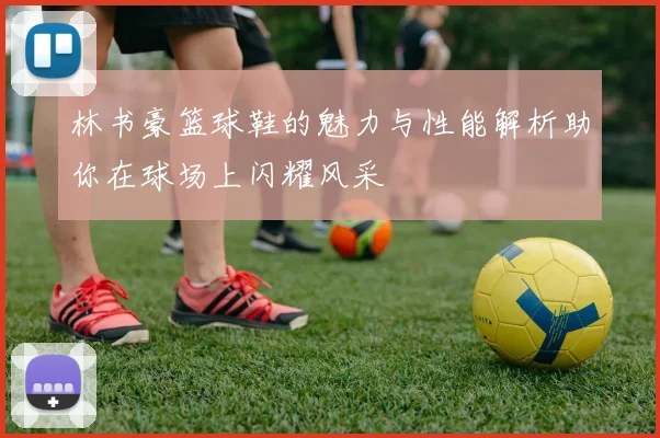 林书豪篮球鞋的魅力与性能解析助你在球场上闪耀风采