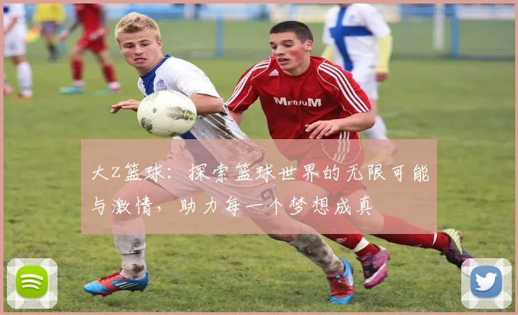 大z篮球：探索篮球世界的无限可能与激情，助力每一个梦想成真