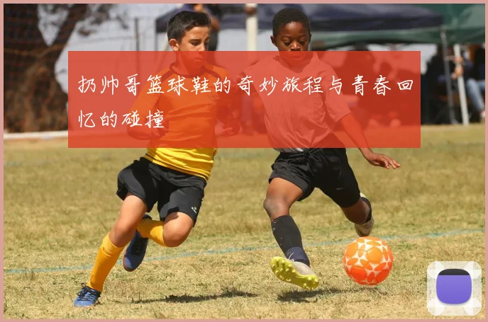 扔帅哥篮球鞋的奇妙旅程与青春回忆的碰撞