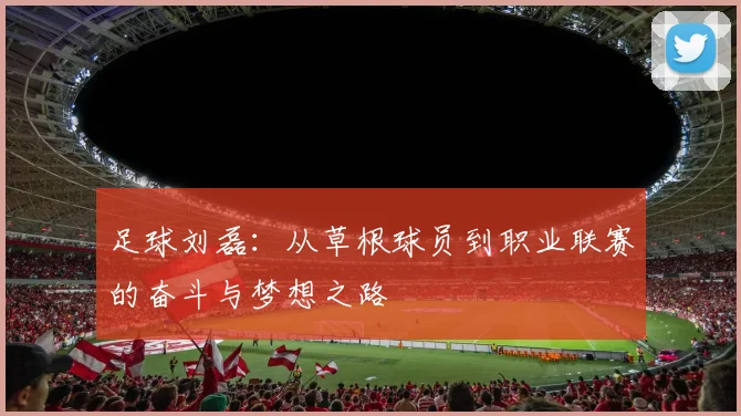 足球刘磊：从草根球员到职业联赛的奋斗与梦想之路