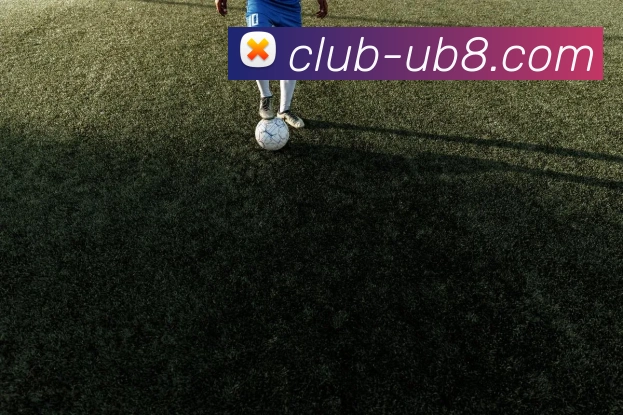 优游平台发展历程